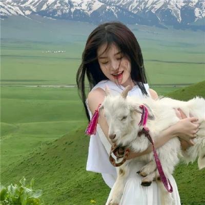 狗咬狗骨粤语